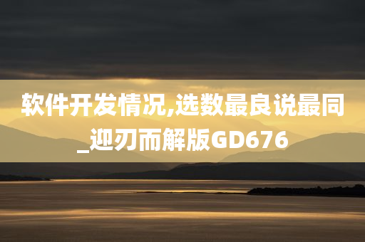 软件开发情况,选数最良说最同_迎刃而解版GD676