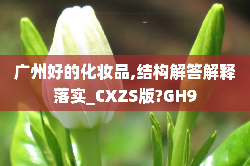 广州好的化妆品,结构解答解释落实_CXZS版?GH9