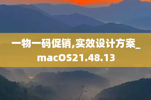 一物一码促销,实效设计方案_macOS21.48.13