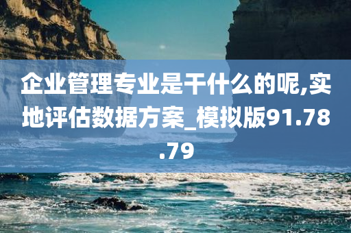 企业管理专业是干什么的呢,实地评估数据方案_模拟版91.78.79