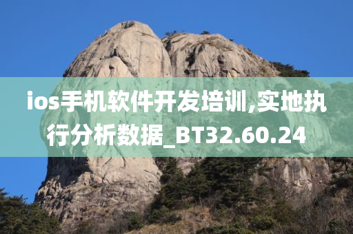 ios手机软件开发培训,实地执行分析数据_BT32.60.24