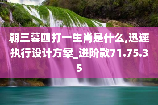 朝三暮四打一生肖是什么,迅速执行设计方案_进阶款71.75.35