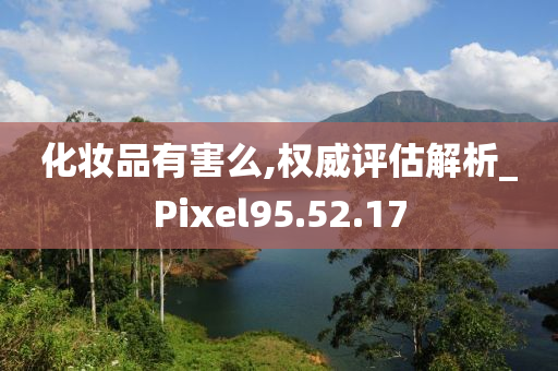 化妆品有害么,权威评估解析_Pixel95.52.17