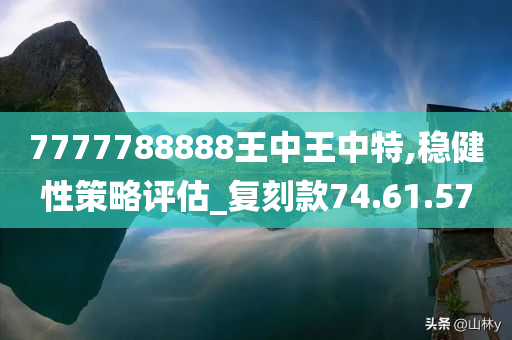 7777788888王中王中特,稳健性策略评估_复刻款74.61.57