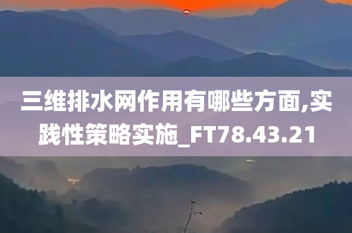 三维排水网作用有哪些方面,实践性策略实施_FT78.43.21