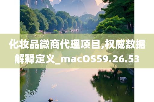 化妆品微商代理项目,权威数据解释定义_macOS59.26.53