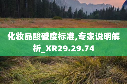 化妆品酸碱度标准,专家说明解析_XR29.29.74