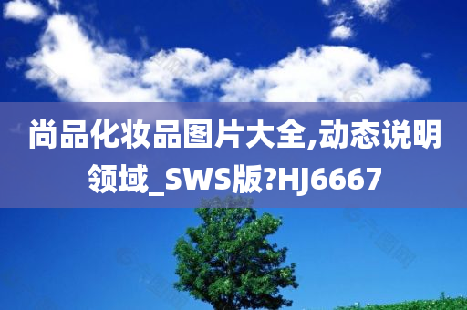 尚品化妆品图片大全,动态说明领域_SWS版?HJ6667