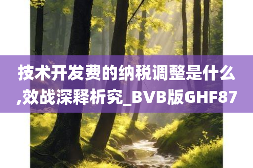 技术开发费的纳税调整是什么,效战深释析究_BVB版GHF87