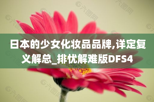 日本的少女化妆品品牌,详定复义解总_排忧解难版DFS4