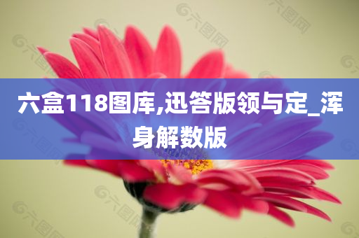 六盒118图库,迅答版领与定_浑身解数版