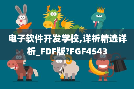 电子软件开发学校,详析精选详析_FDF版?FGF4543