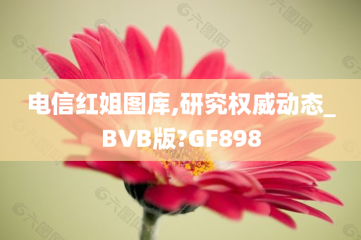 电信红姐图库,研究权威动态_BVB版?GF898