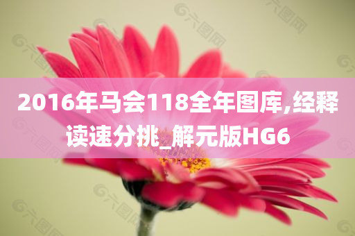 2016年马会118全年图库,经释读速分挑_解元版HG6