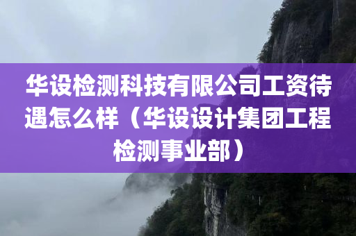 华设检测科技有限公司工资待遇怎么样（华设设计集团工程检测事业部）