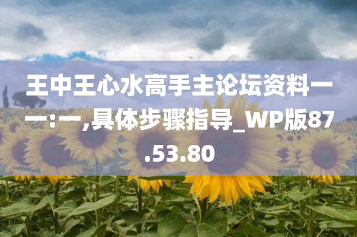 王中王心水高手主论坛资料一一:一,具体步骤指导_WP版87.53.80