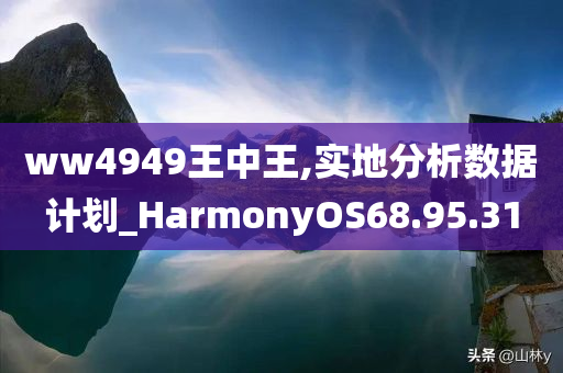 ww4949王中王,实地分析数据计划_HarmonyOS68.95.31