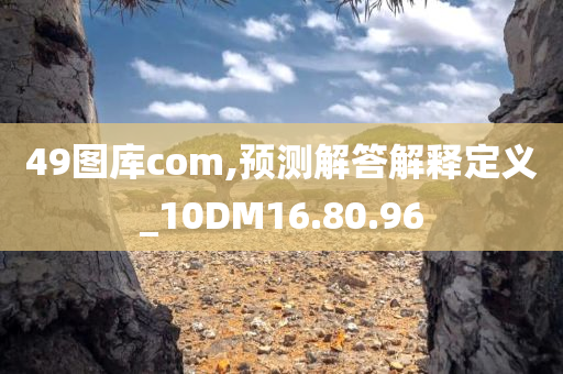 49图库com,预测解答解释定义_10DM16.80.96