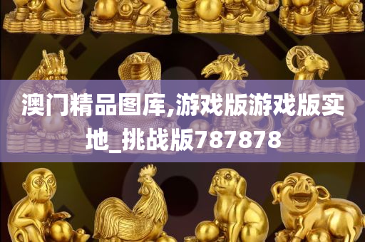 澳门精品图库,游戏版游戏版实地_挑战版787878