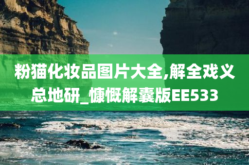 粉猫化妆品图片大全,解全戏义总地研_慷慨解囊版EE533