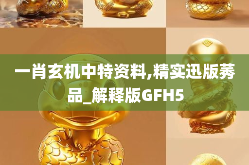 一肖玄机中特资料,精实迅版莠品_解释版GFH5