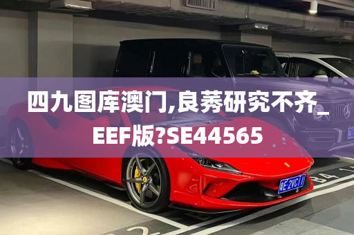 四九图库澳门,良莠研究不齐_EEF版?SE44565