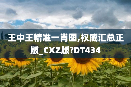 王中王精准一肖图,权威汇总正版_CXZ版?DT434