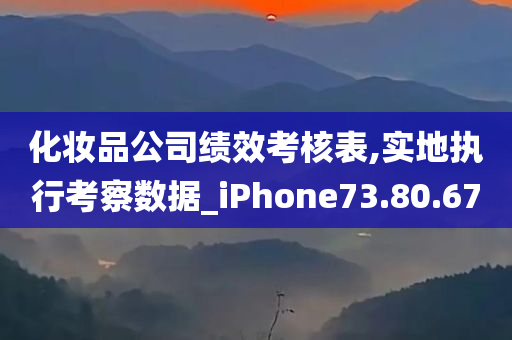 化妆品公司绩效考核表,实地执行考察数据_iPhone73.80.67