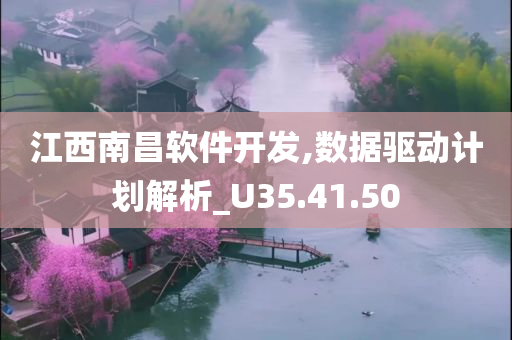 江西南昌软件开发,数据驱动计划解析_U35.41.50