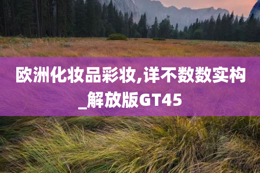 欧洲化妆品彩妆,详不数数实构_解放版GT45