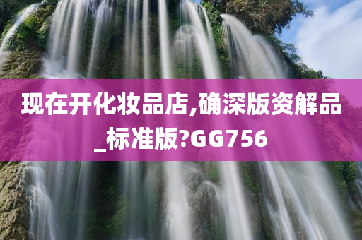 现在开化妆品店,确深版资解品_标准版?GG756