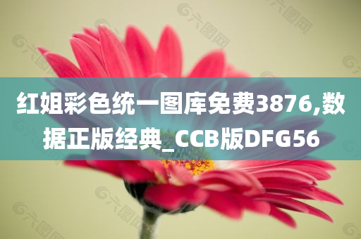 红姐彩色统一图库免费3876,数据正版经典_CCB版DFG56