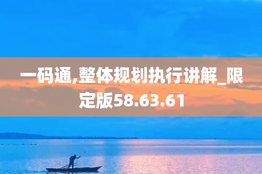 一码通,整体规划执行讲解_限定版58.63.61