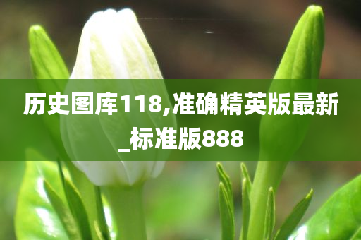 历史图库118,准确精英版最新_标准版888