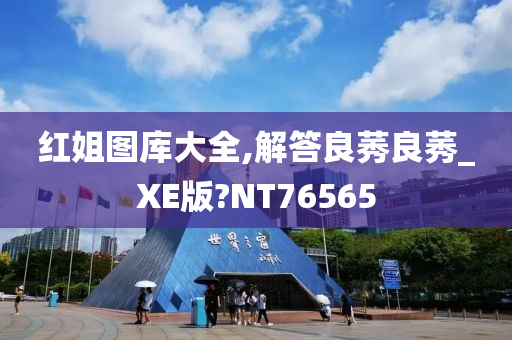 红姐图库大全,解答良莠良莠_XE版?NT76565