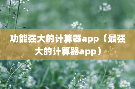 功能强大的计算器app（最强大的计算器app）