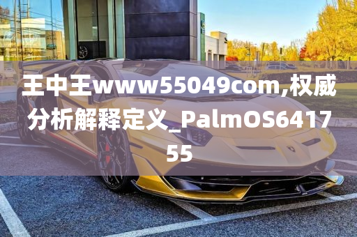 王中王www55049com,权威分析解释定义_PalmOS641755