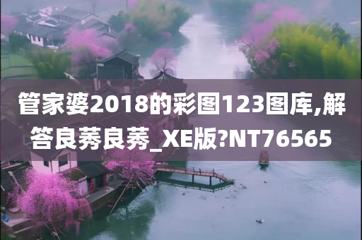 管家婆2018的彩图123图库,解答良莠良莠_XE版?NT76565