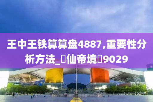 王中王铁算算盘4887,重要性分析方法_‌仙帝境‌9029