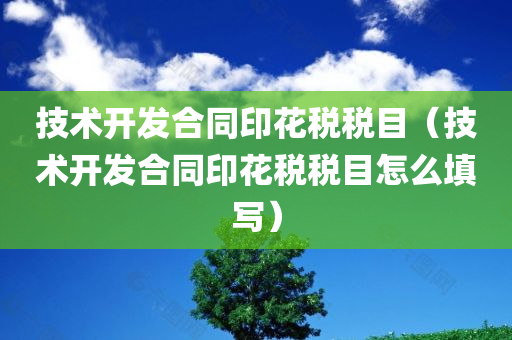 技术开发合同印花税税目（技术开发合同印花税税目怎么填写）