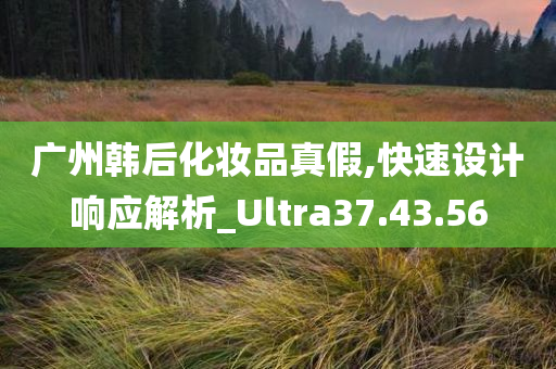 广州韩后化妆品真假,快速设计响应解析_Ultra37.43.56