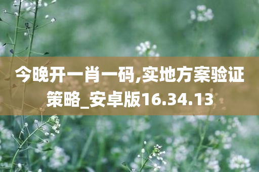 今晚开一肖一码,实地方案验证策略_安卓版16.34.13