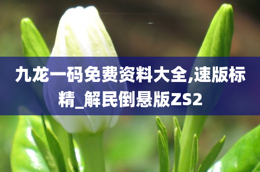 九龙一码免费资料大全,速版标精_解民倒悬版ZS2