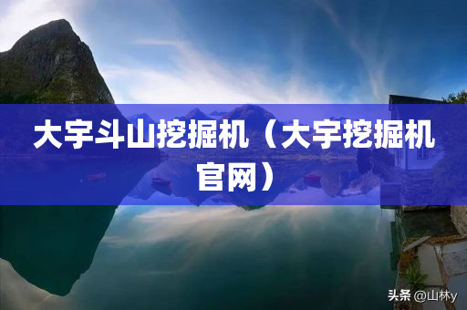 大宇斗山挖掘机（大宇挖掘机官网）