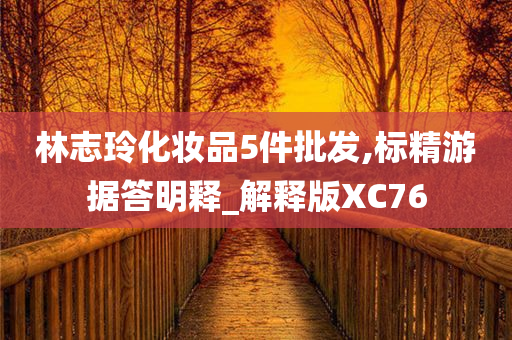 林志玲化妆品5件批发,标精游据答明释_解释版XC76