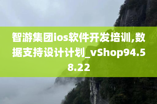 智游集团ios软件开发培训,数据支持设计计划_vShop94.58.22