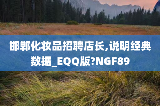 邯郸化妆品招聘店长,说明经典数据_EQQ版?NGF89