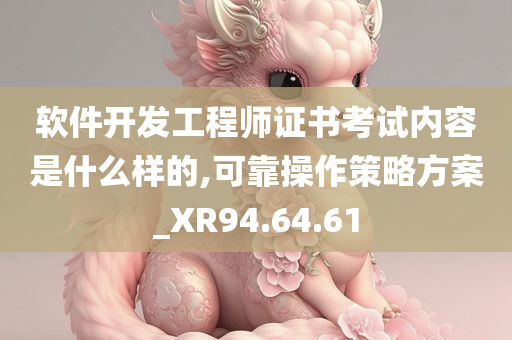 软件开发工程师证书考试内容是什么样的,可靠操作策略方案_XR94.64.61