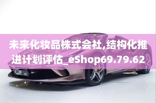 未来化妆品株式会社,结构化推进计划评估_eShop69.79.62