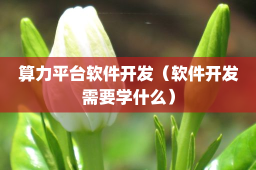 算力平台软件开发（软件开发需要学什么）